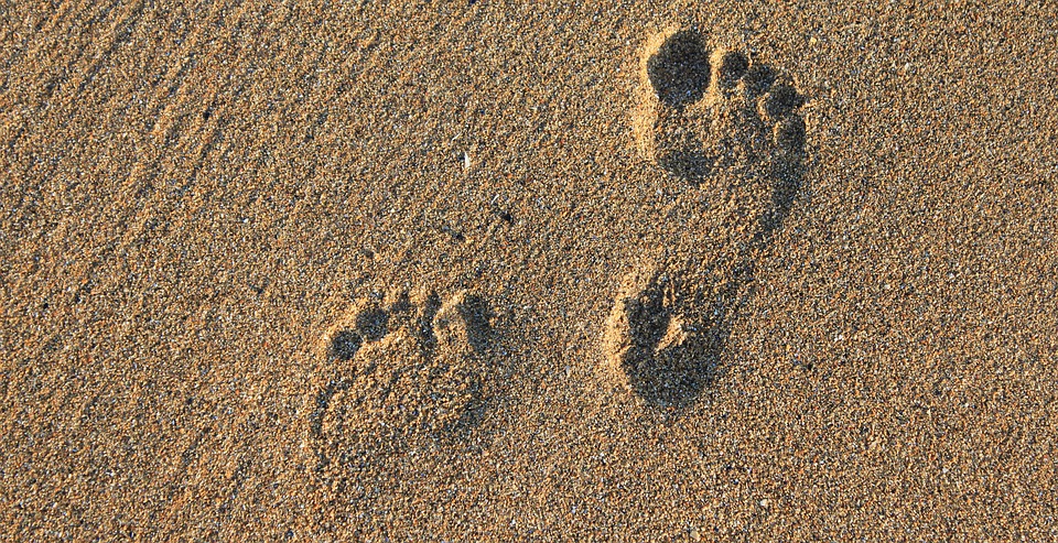Voetafdrukken in het zand
